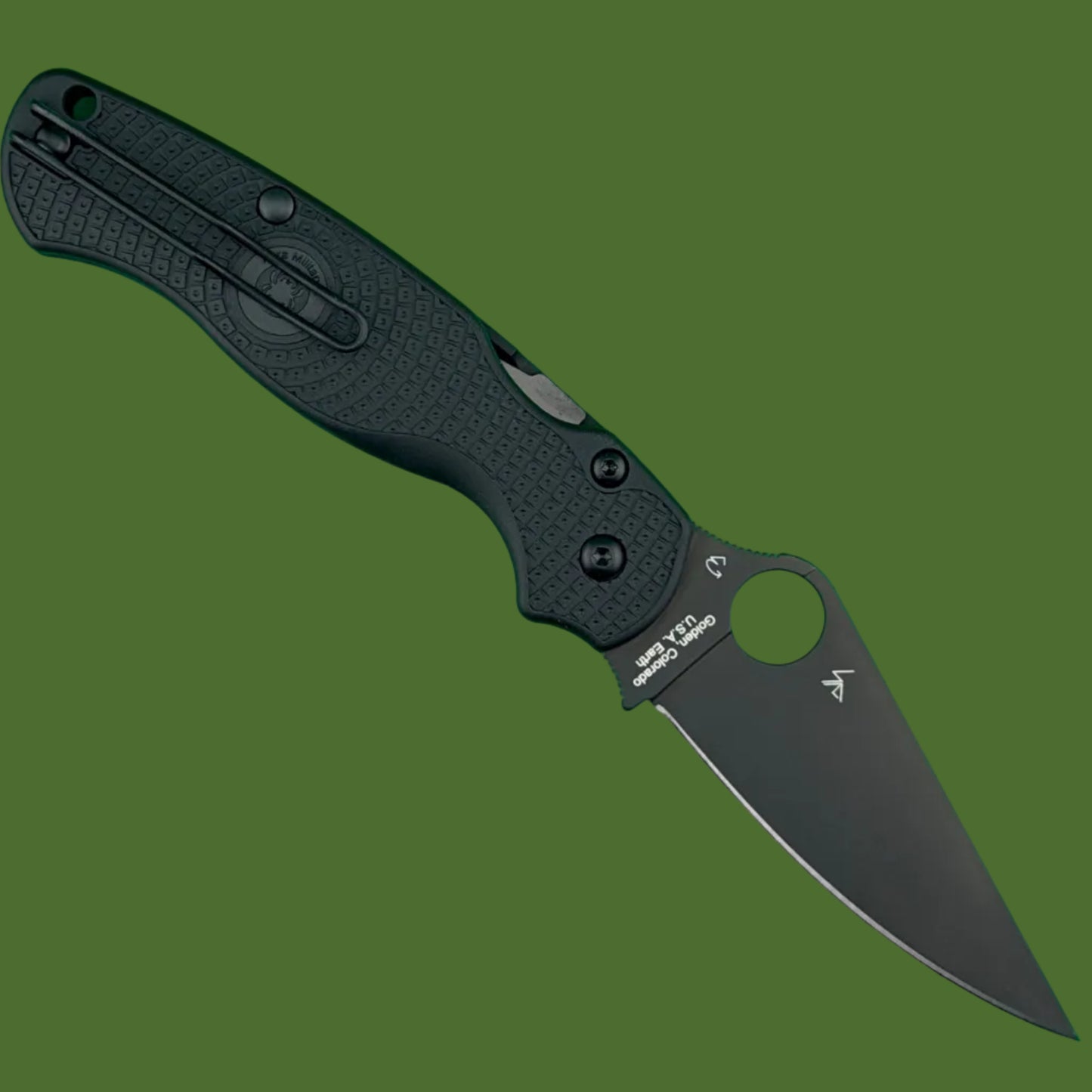 Spyderco Paramilitary 2 Lightweight Black FRN Black Blade C81PBBK2