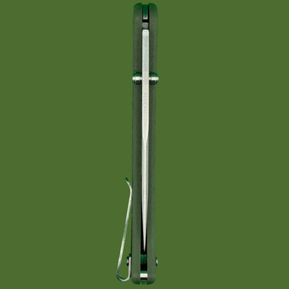 Buck 110 Slim Select Lockback Green