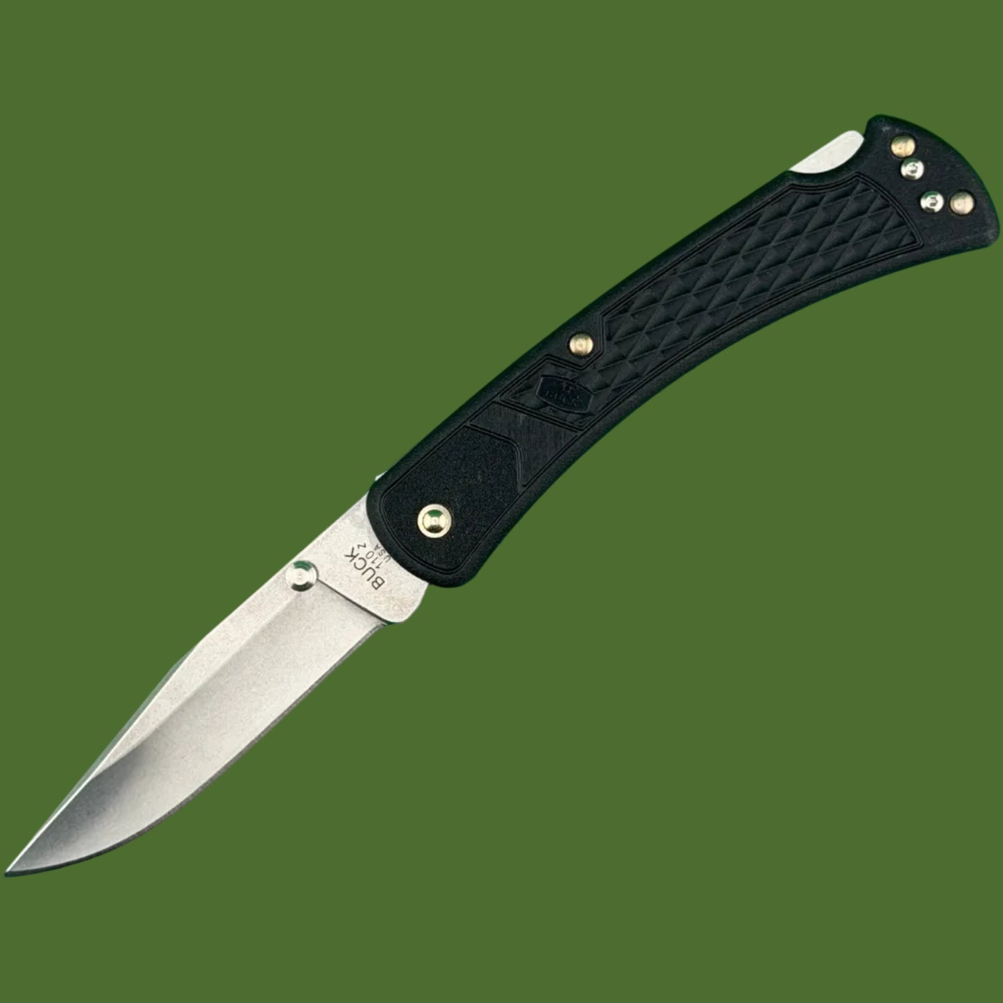 Buck 110 Slim Select Lockback Black