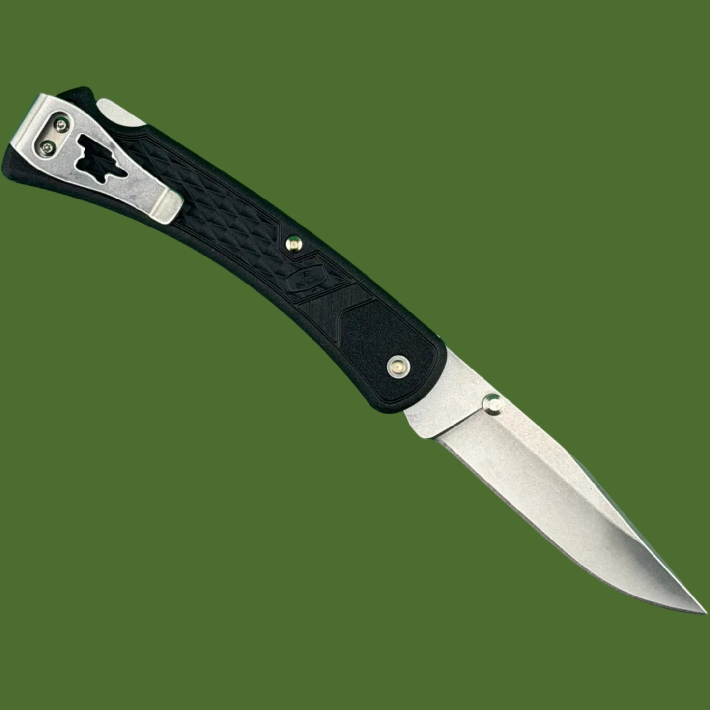 Buck 110 Slim Select Lockback Black