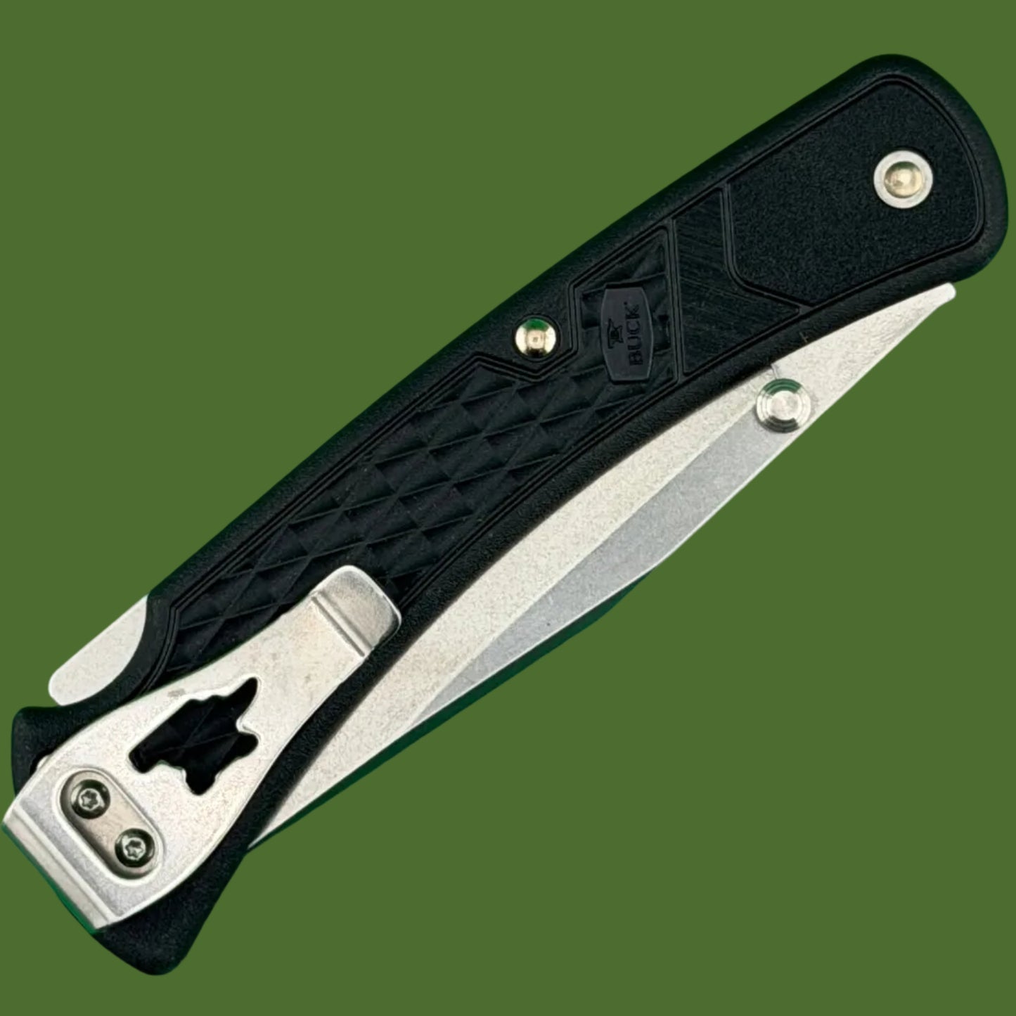 Buck 110 Slim Select Lockback Black